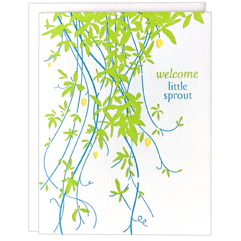 Vine Sprout Baby Card