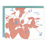 Forget Me Not Sympathy