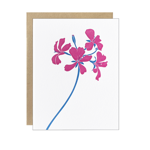 Pelargonium Blank Card